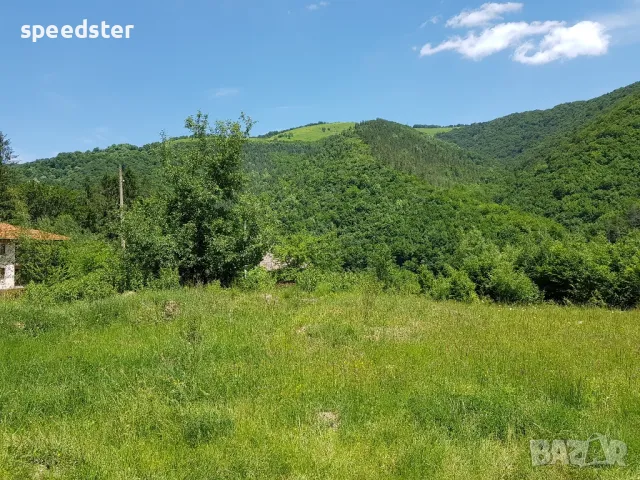 Рибарица 3000 кв.м. парцел и изграден до кота 0 стр., снимка 4 - Парцели - 50045804