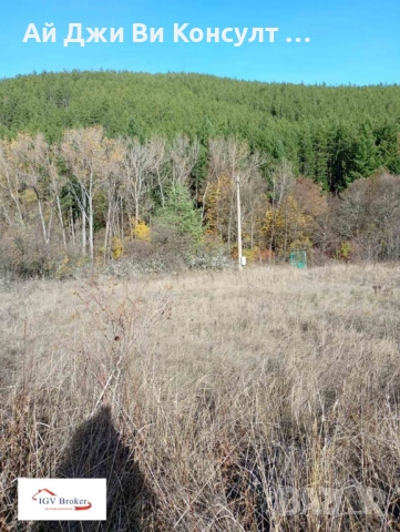 Парцел в с. Клисура, гр. Банкя, снимка 14 - Парцели - 52400664