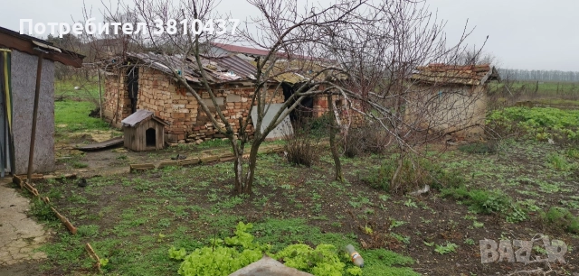 продавам къшта въф с, соколово гр Балчик , снимка 4 - Къщи - 52706237