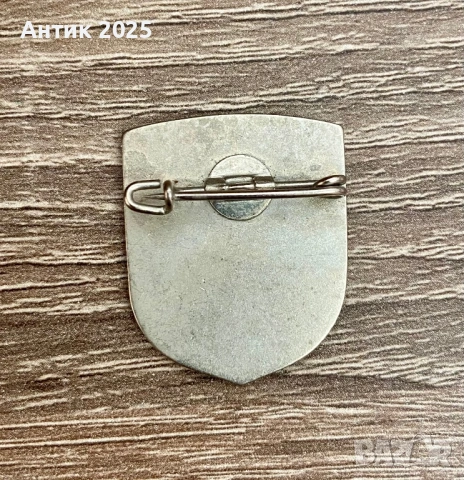 Винтидж значка-щит „Chemnitzer Hütte“ (Хемницер Хюте), 2323 м, Алпи, снимка 2 - Колекции - 53693640