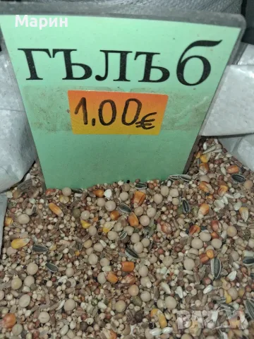 Храна за гълъби птици