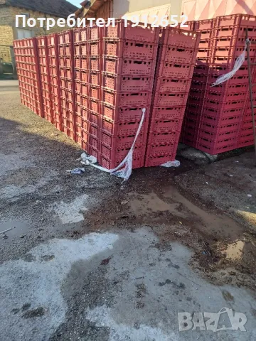 продава каси за месо и колбаси-60/40/20см.плътни и плътно дъно вентилирани страни., снимка 3 - Друго търговско оборудване - 48364814