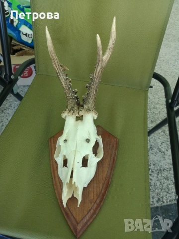 рога за окачване. 