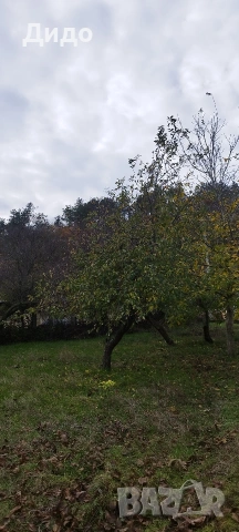 Продава парцел, гр Белослав, област Варна, снимка 2 - Парцели - 53803710