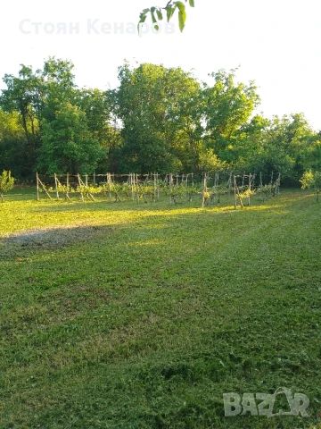 Продавам парцел в село Балван,област В.Търново., снимка 2 - Парцели - 50557427