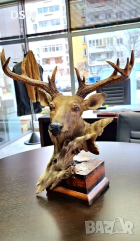 Нова Статуетка Елен Фигура Лос Трофей - 40см