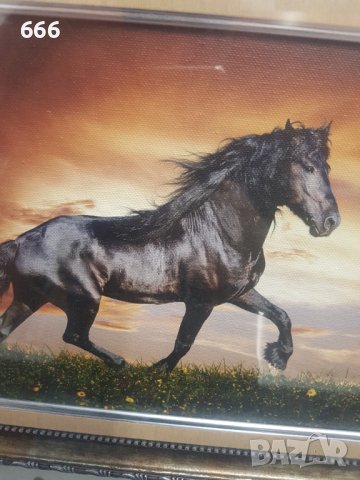 Картина, снимка 2 - Картини - 42356841