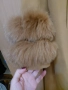 Ново палто кашмир яка лисица за 280 лв, снимка 2