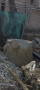 Конус бетонен Ø1000мм/Ø600мм, h=650мм, снимка 1 - Строителни материали - 44797804