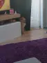 Продавам чистокръвен померан., снимка 2