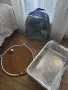 Персийски котарак , снимка 4