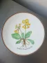 6бр Rosenthal Розентал стара немска колекционерска декоративна порцеланова чиния-картина/цветя, снимка 1