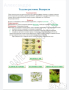 Материали по биология и здравно образование за 7. клас, снимка 2