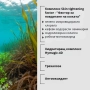 Хиалуронов гел-лосион за лице и тяло, снимка 4