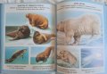 Детска енциклопедия за животни, снимка 2