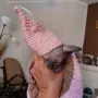 Котка порода сфинкс, снимка 6