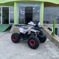 ATV MaxMotors Grizzly LED ROLLBAR 150 CC с 8” гуми, автоматична скорос, снимка 6 - Мотоциклети и мототехника - 41756938