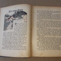 Много стара детска книжка , приказки - Германия, снимка 3 - Художествена литература - 42368918