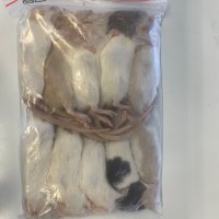 Замразени мишки, плъхове, брашнен червей, дубия,морио, снимка 2 - Терариуми и оборудване - 41526202