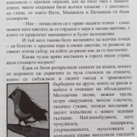 Разкази от Чили - Сборник, снимка 6 - Художествена литература - 44554386