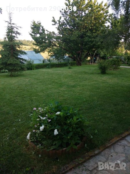 Почистване Дворове и Вили Рязане на Дърва за Огрев , снимка 1