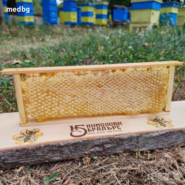 Пчелна рамка с мед / ЛУКС / Див градеж / 100% НАТУРАЛНО, снимка 1