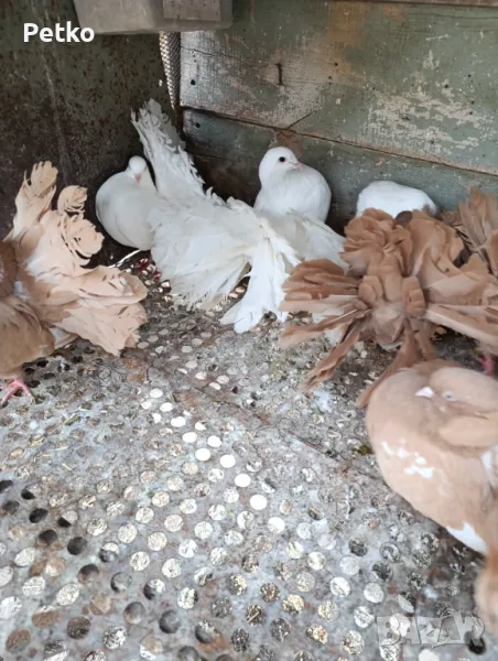 Продавам фенерлии, снимка 1