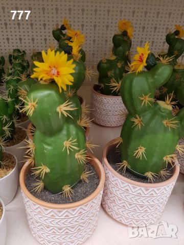 декоративни кактуси, снимка 2 - Изкуствени цветя - 44193391