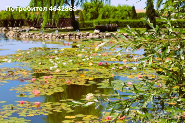 Фотографски услуги , снимка 7 - Фотографи - 53210411