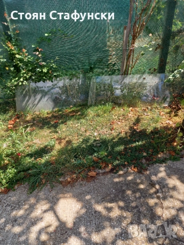 Предни стъкла за жигул, Руски, снимка 2 - Части - 51554731