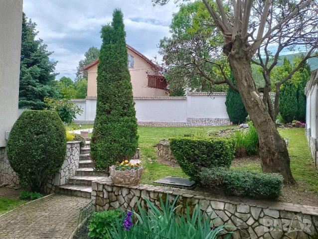 *Топ Градинар* - Поддръжка На Зелени Площи, снимка 4 - Други услуги - 39548079