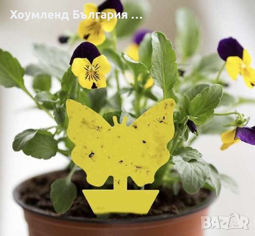 Капан за насекоми - 12 броя, снимка 5 - Други стоки за дома - 40861091