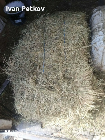 Бали меко сено