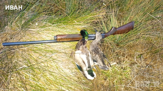 Ловен автомат Remington , снимка 10 - Ловно оръжие - 53211237