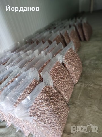 Български лешници без черупка - реколта 2025 г., снимка 6 - Други - 35210181