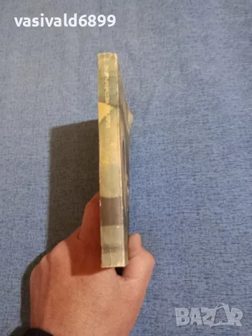 Доминго Сантос - Бъдеще несъвършено , снимка 2 - Художествена литература - 50358336