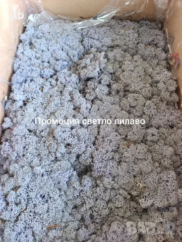 Скандинавски мъх за живи стени, пана, декорации картини декоративен мъх, снимка 6 - Пана - 55911704