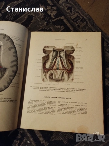 Атлас по анатомия на човека - том 3-ти, снимка 2 - Художествена литература - 53610777