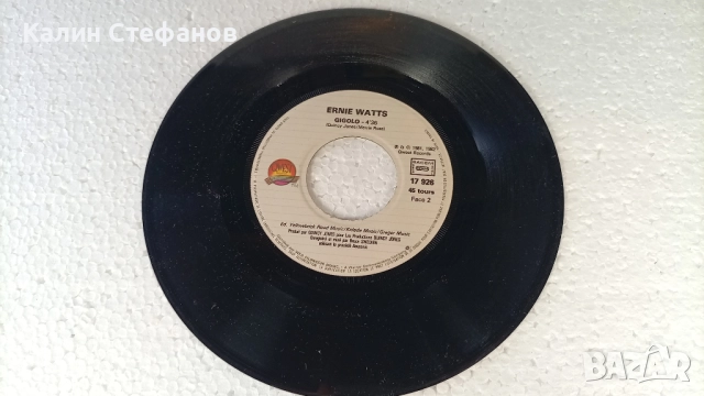 Малка грамофонна плоча, 7 инча, 17.78 см, FRNIE WATTS 1-hold on 2-gigolo, френска преса, снимка 5 - Грамофонни плочи - 51603057