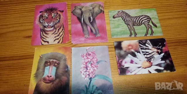 Календарчета , снимка 2 - Колекции - 35935294