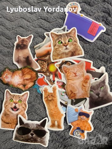 Водоустойчиви стикери 50х бр-Котки,Cats,Kitty(лаптопи,коли,тротинетки,мотори,каски,Xbox,PS4-5 и др), снимка 4 - Аксесоари и консумативи - 36060457