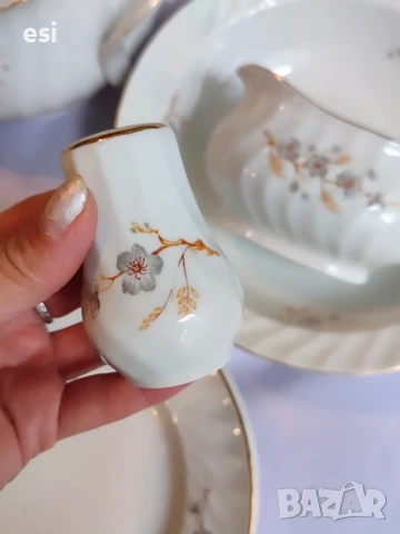 Български сервиз ябълков цвят , снимка 10 - Сервизи - 51413387