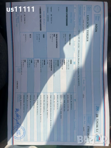 Елитен мъжки ягдтериер за разплод , снимка 5 - Ягдтериер - 53583763