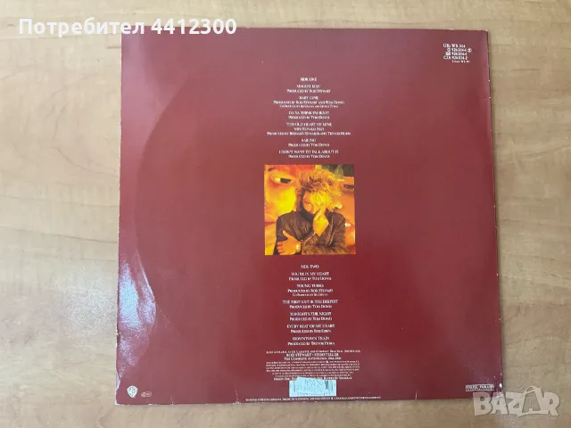 Грамофонна плоча 12”, снимка 2 - Грамофонни плочи - 50171320