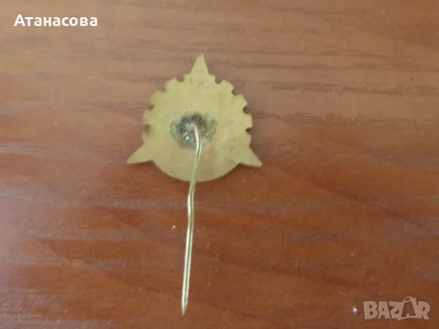 Значка ДИП "Вида" Видин ТНТМ 1972 г, снимка 3 - Колекции - 50319366