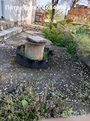 Продаваме вила,близо до гр.Силистра, снимка 16 - Вили - 53412945