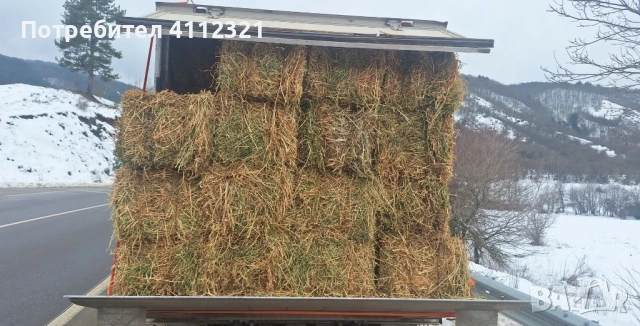 Люцерна доставка на място , снимка 5 - За селскостопански - 53224672
