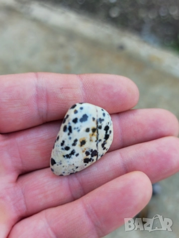 Камъни Пет броя, снимка 7 - Декорация за дома - 52242798