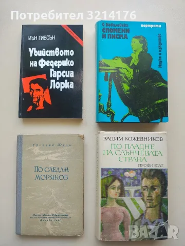 По пладне на слънчевата страна - Вадим Кожевников (Отлично състояние)