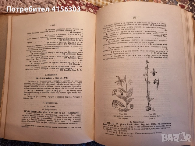 Флора на България., снимка 9 - Други - 53635906